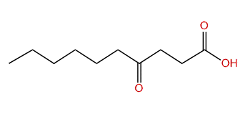 4-Oxodecanoic acid